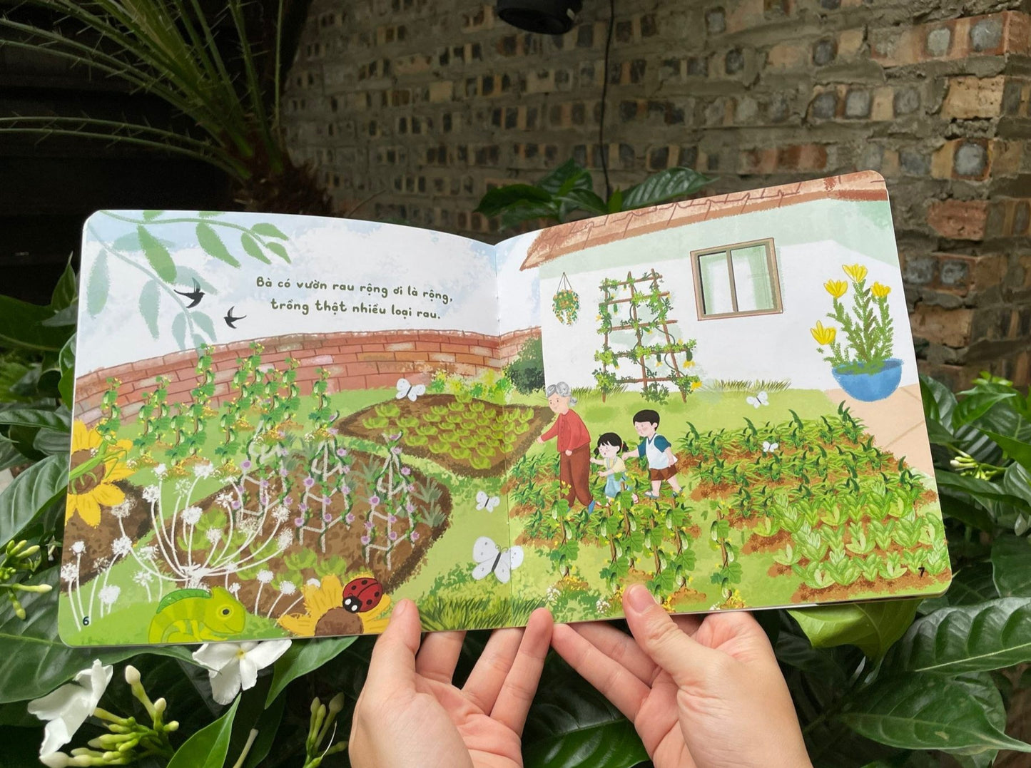 Trọn bộ Chúng Mình Cùng Nhau (combo 5 cuốn): Xèo xèo mẹ nấu! - Bố ơi đi nào! - Em thương cún lắm! - Ông chở bé đi - Vườn bà có gì? (tuổi 0-6)